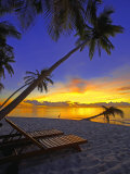 Deckchair on Tropical Beach by Palm Tree at Dusk and Blue Heron  Maldives  Indian Ocean