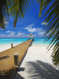 Jetty Leading Out to Tropical Sea  Maldives  Indian Ocean