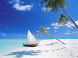 Dhoni Moored by Empty Beach  Maldives  Indian Ocean