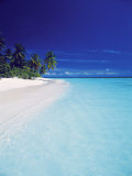 Island and Lagoon  Maldives  Indian Ocean