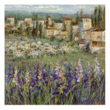 Provencal Village I