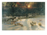 The Shortening Winter's Day