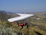 Hang Glider