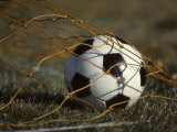 Soccer Ball in Net