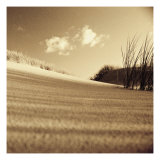 Drifting Sands III