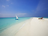 Dhoni and Lounge Chairs on Tropical Beach  Maldives  Indian Ocean