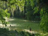 Macac River Running Through Rainforest at Old Man's Beard  Belize  Central America
