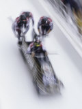 Blurred Action of the Start of 4 Man Bobsled Team