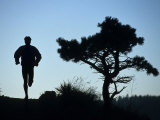 Silhouette of Runner and Tree