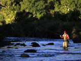 Fly Fisherman
