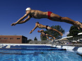 Swimmers Starting a Race