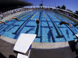 Women Diving into the Pool to Start a Swimming Race