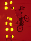 Bmx Cyclist