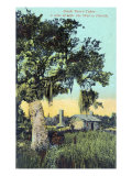 Harriet Beecher Stowe's novel 'Uncle Tom's Cabin'