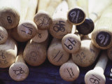 Baseball Bats