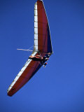 Hang Glider