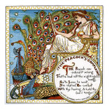 The Peacock's Complaint