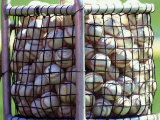 Baseballs
