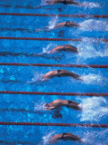 Start of a Men's Backstroke Swimming Race