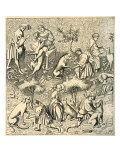 Medieval care of dogs  including bathing  brushing  mouth cleaning and pulling out thorns