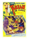Tarzan the Fearless  Buster Crabbe  Julie Bishop  1933