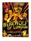 Werewolf of London  Valerie Hobson  Lester Matthews  Warren Hull  Warner Oland  1935