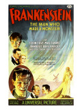 Frankenstein  Dwight Frye  John Boles  Mae Clarke  Boris Karloff  Edward Van Sloan  1931
