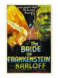 The Bride of Frankenstein  Elsa Lanchester  Boris Karloff  1935
