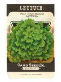 Lettuce Seed Packet