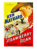 Strawberry Roan  1933