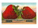 Giant Strawberries on Flatbed