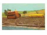 Tractor Hauling Giant Ear of Corn