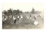 Children's Garden