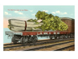 Giant Celery on Flatbed