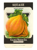 Squash Seed Packet