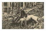Man with Dead Elk