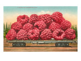 Giant Raspberries on Flatbed