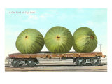 Giant Figs on Flatbed