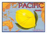 Pacific Lemon Crate Label