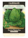 Cabbage Seed Packet