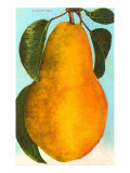 Bartlett Pear