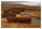 River Runs II