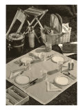 Photograph of Picnic Service