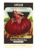 Onion Seed Packet