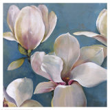 New Magnolias I