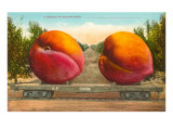 Giant Peaches on Flatbed