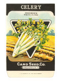 Celery Seed Packet