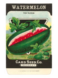 Watermelon Seed Packet