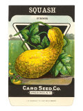 Summer Squash Seed Packet