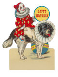 Happy Birthday  Clown on St Bernard